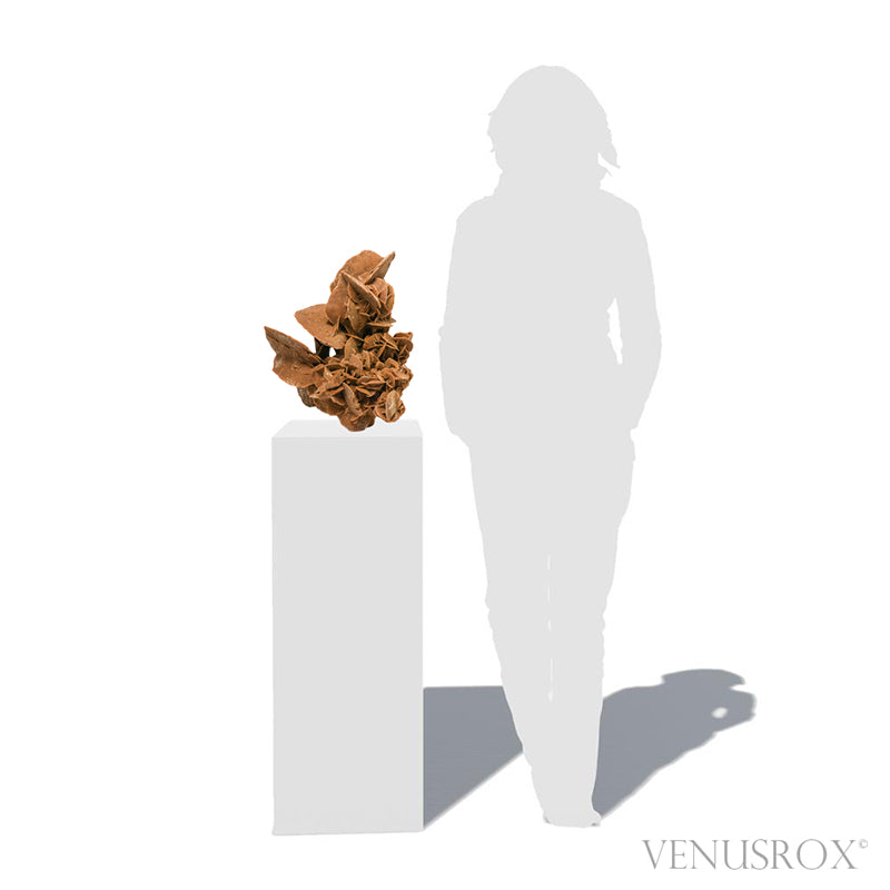 An exceptionally beautiful Desert Rose Natural Cluster from Morocco | Venusrox, the UK's Premier Crystal Showroom