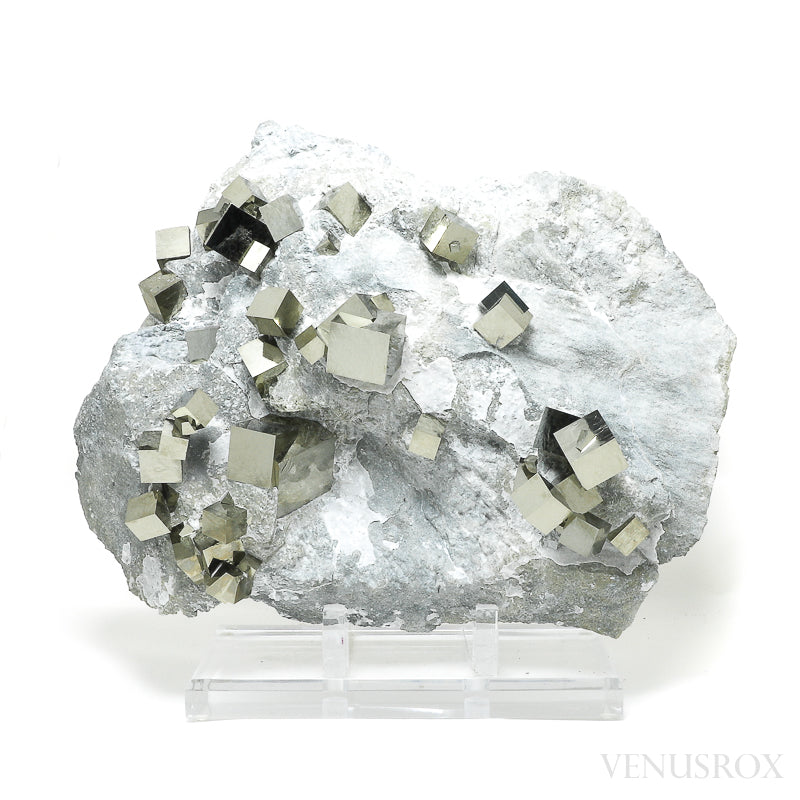 A naturally formed Pyrite Cubes in Matrix from Navajun, La Rioja, Spain mounted on a stand | Venusrox, the UK's Premier Crystal Showroom