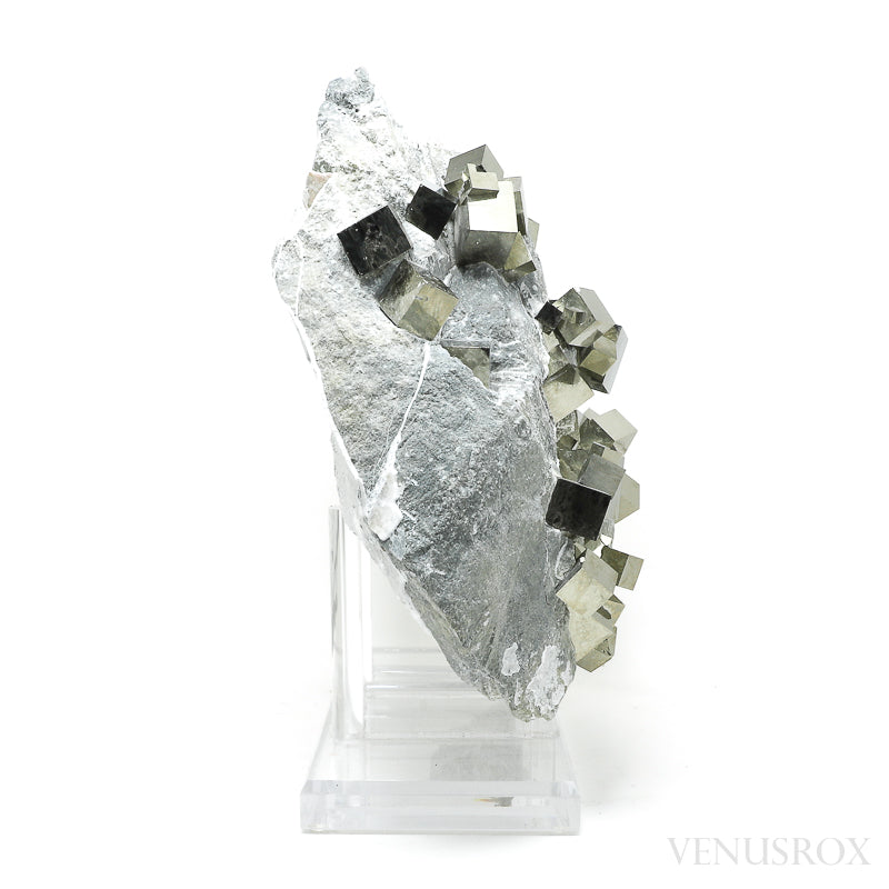 A naturally formed Pyrite Cubes in Matrix from Navajun, La Rioja, Spain mounted on a stand | Venusrox, the UK's Premier Crystal Showroom