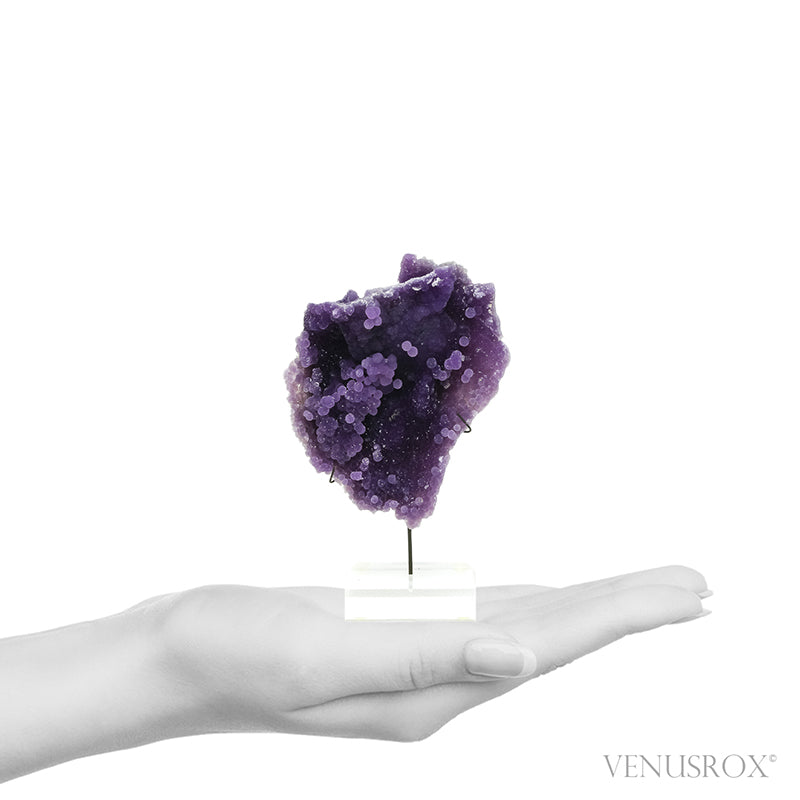 'Grape' Amethyst Natural Cluster from the Mamuju Area, Sulawesi Barat Province, Sulawesi, Indonesia | Venusrox