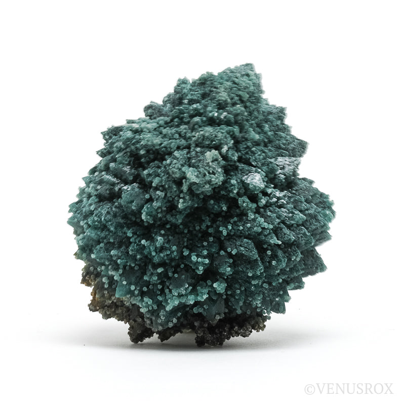 Celadonite included Apophyllite Natural Cluster from Jalgaon, Maharashtra, India