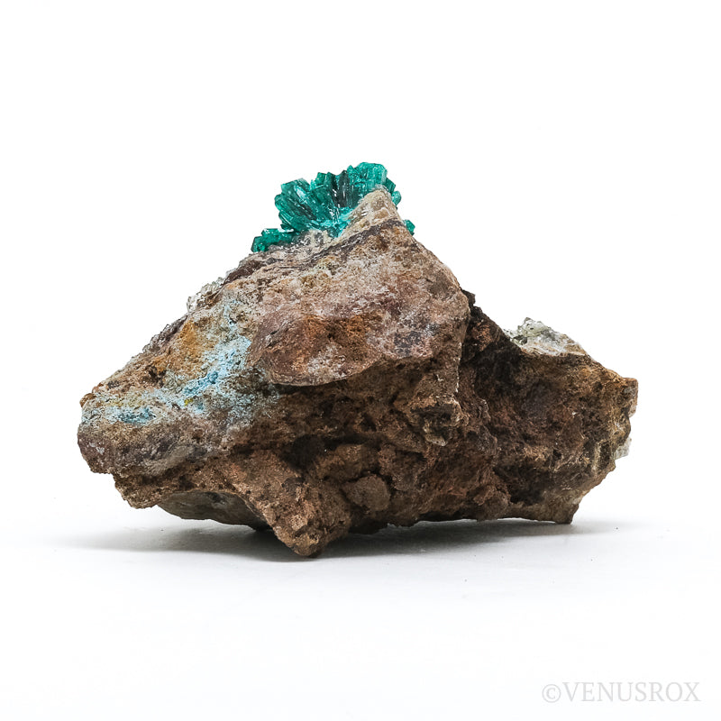 Dioptase with Quartz & Shattuckite on Matrix Natural Cluster from the Democratic Republic of Congo | Venusrox
