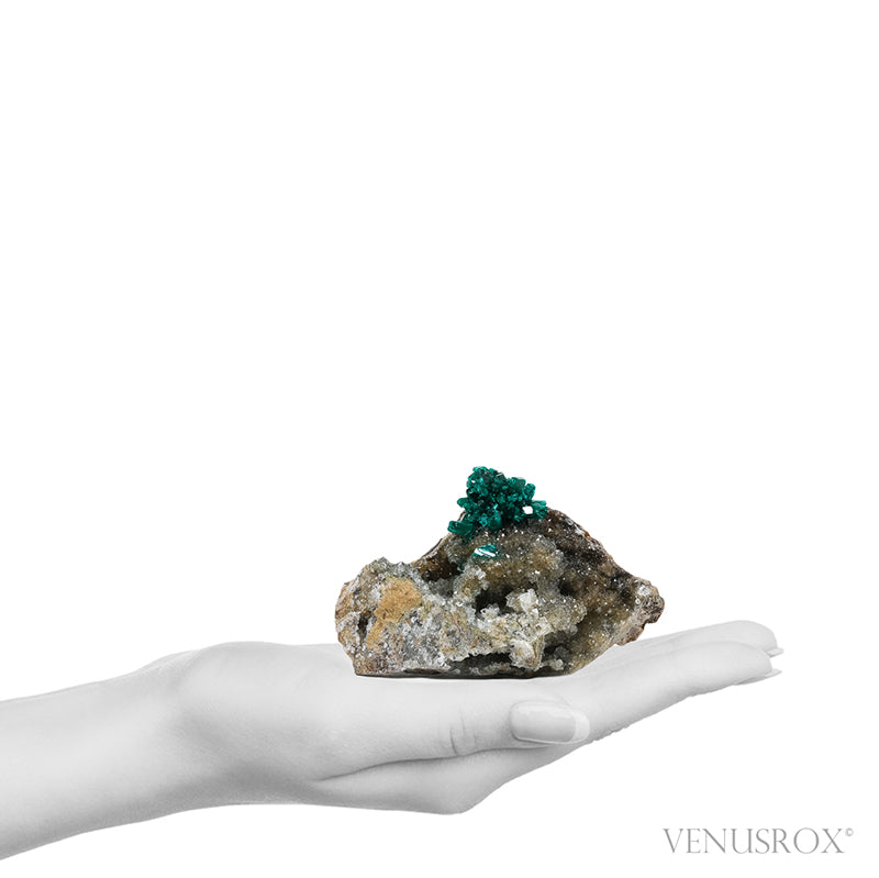 Dioptase with Quartz & Shattuckite on Matrix Natural Cluster from the Democratic Republic of Congo | Venusrox