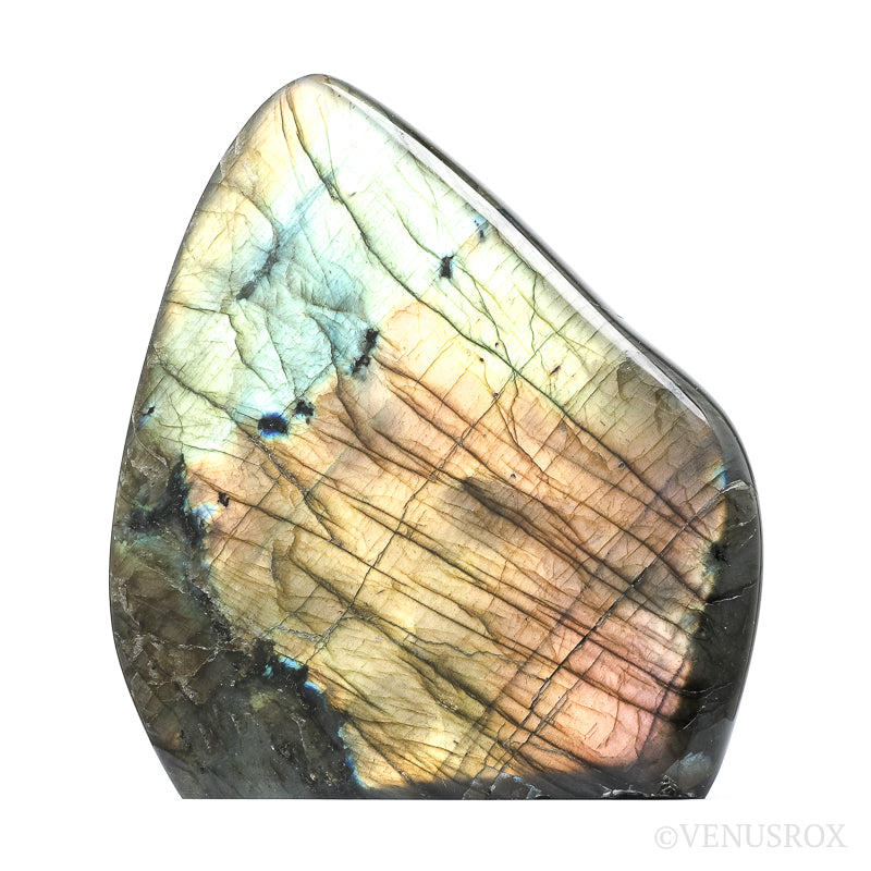 Labradorite Polished Freeform from Madagascar | Venusrox