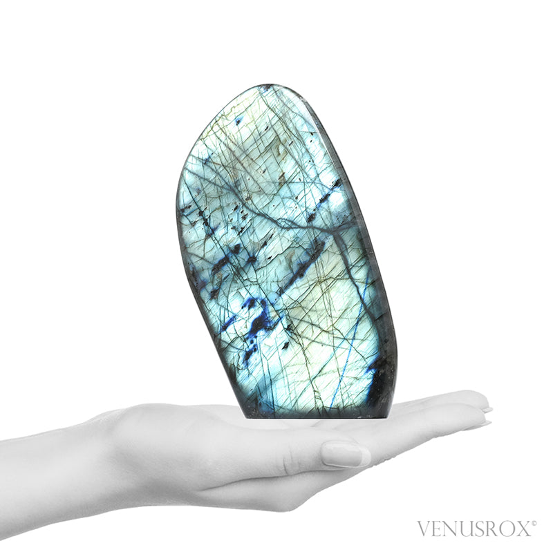 Labradorite Polished Freeform from Madagascar | Venusrox