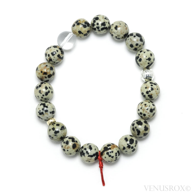 Dalmatian Jasper Bracelet from China | Venusrox