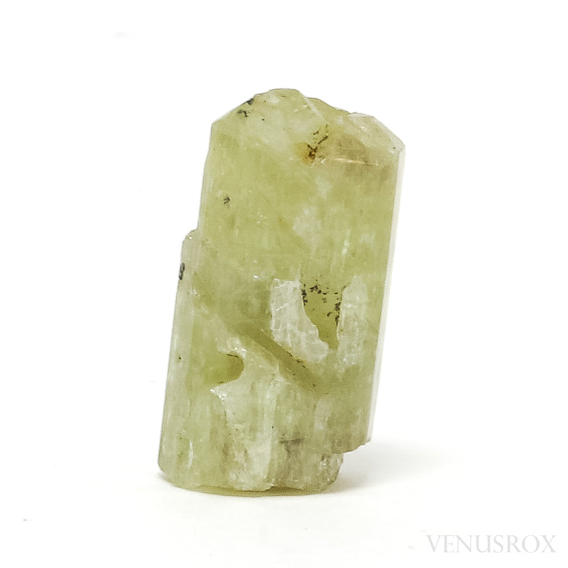 An exquisite Natural Golden Apatite Crystal from Morocco | Venusrox, the UK's Premier Crystal Showroom