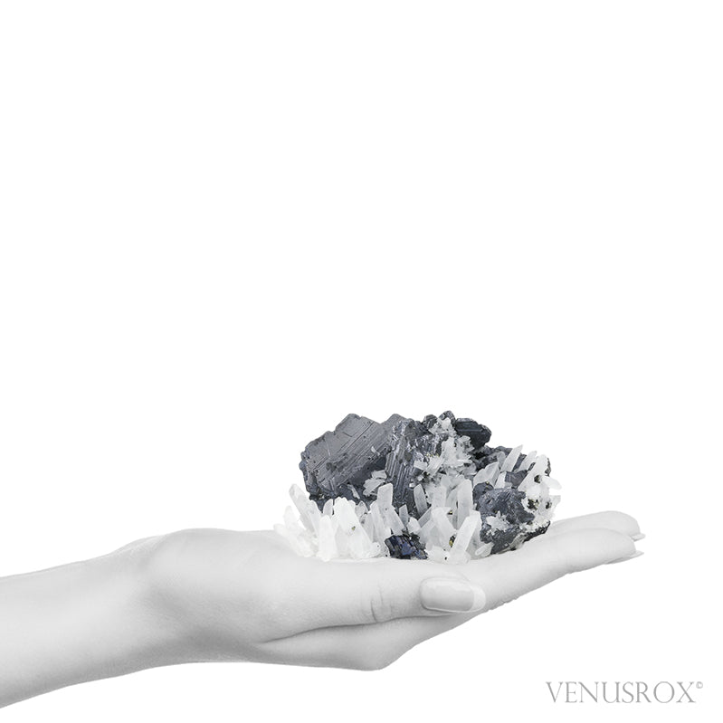 Galena with Clear Quartz & Pyrite Natural Cluster from Bulgaria | Venusrox
