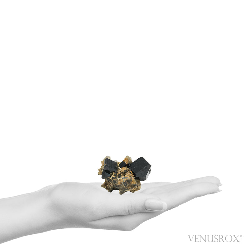 Black Tourmaline with Smoky Quartz Natural Cluster from Rondekop, Erongo Mountains, Karibib District, Erongo Region, Namibia | Venusrox