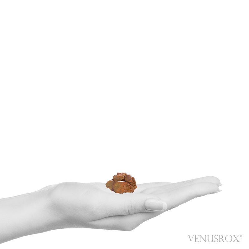 Vanadinite Natural Cluster from Mibladen, Midelt, Meknes-Tafilalet Region, Morocco | Venusrox