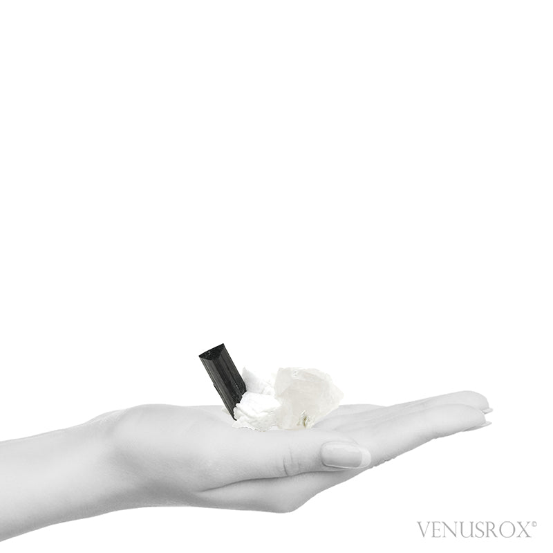 Black/Brown (Dravite) Tourmaline with Albite, Quartz Mica Natural Cluster from Skardu, Gilgit-Baltistan, Pakistan | Venusrox