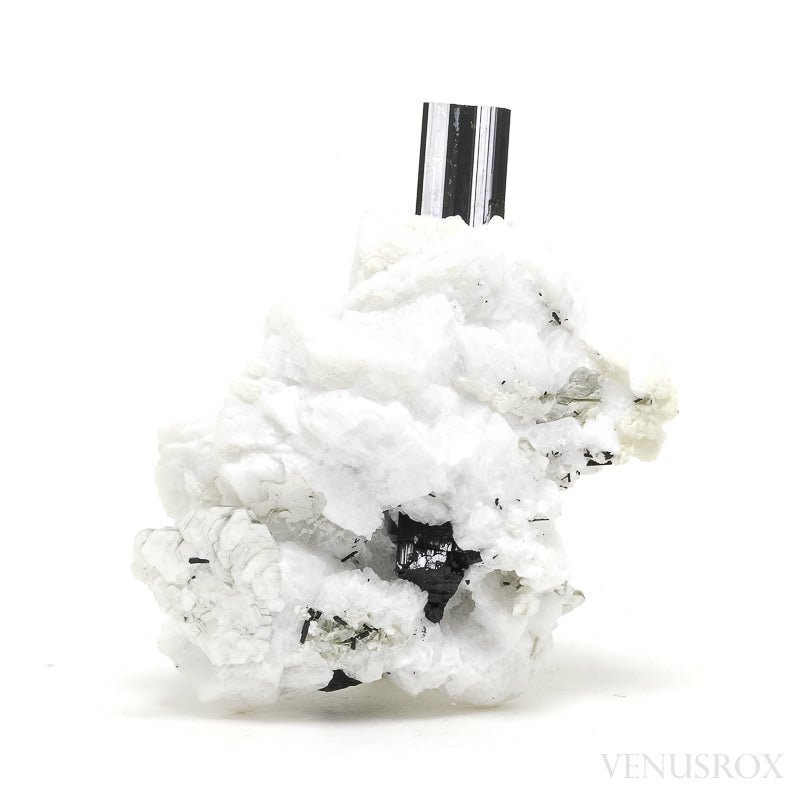 Black/Brown (Dravite) Tourmaline with Albite, Quartz Mica Natural Cluster from Skardu, Gilgit-Baltistan, Pakistan | Venusrox