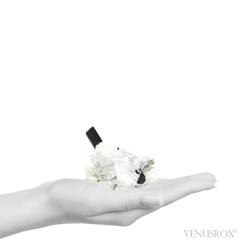 Black/Brown (Dravite) Tourmaline with Albite, Quartz Mica Natural Cluster from Skardu, Gilgit-Baltistan, Pakistan | Venusrox