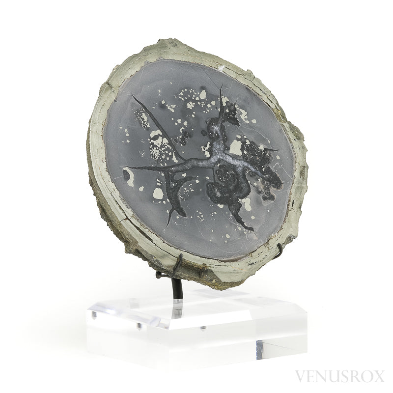 Pyrite Half Nodule from Le Mans, Sarthe, France mounted on a bespoke stand | Venusrox