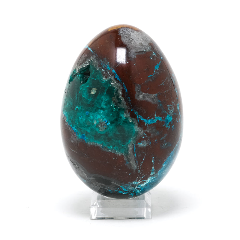 Dioptase with Shattuckite & Matrix Polished Egg from the Democratic Republic of Congo | Venusrox