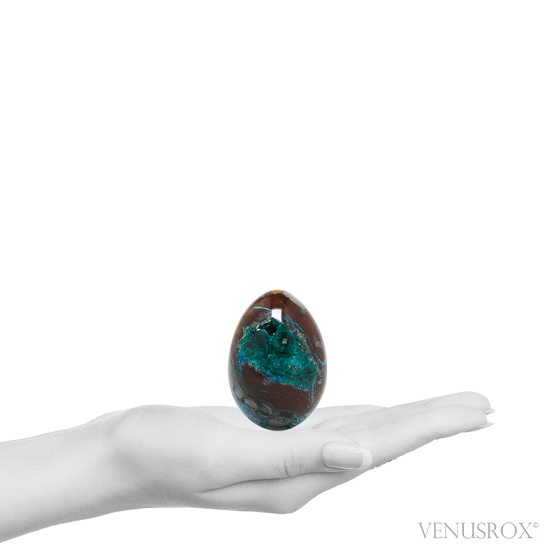 Dioptase with Shattuckite & Matrix Polished Egg from the Democratic Republic of Congo | Venusrox