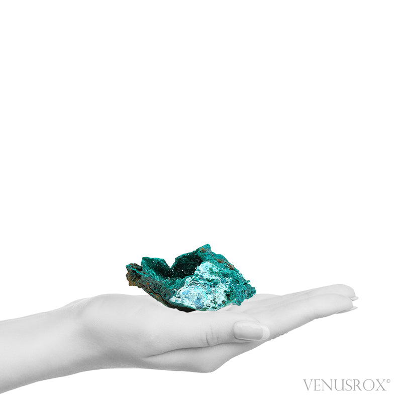 Dioptase with Chrysocolla on Matrix Natural Cluster from Renéville, Kindanba District, Pool Department, Demacratic Republic of the Congo | Venusrox