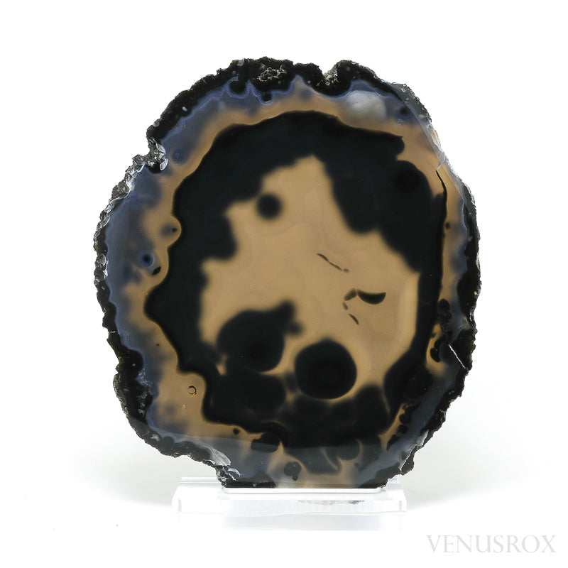 Agate Polished Slice from Brazil, mounted on a bespoke stand | Venusrox