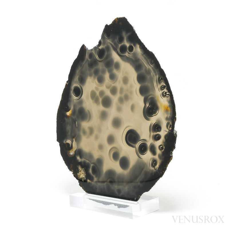 Agate Polished Slice from Brazil, mounted on a bespoke stand | Venusrox