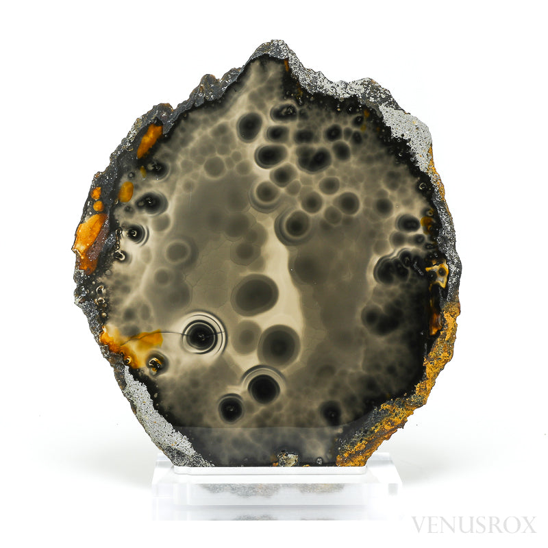 Agate Polished Slice from Brazil, mounted on a bespoke stand | Venusrox