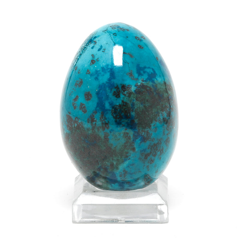 Chrysocolla with Malachite & Shattuckite Polished Egg from Namibia | Venusrox