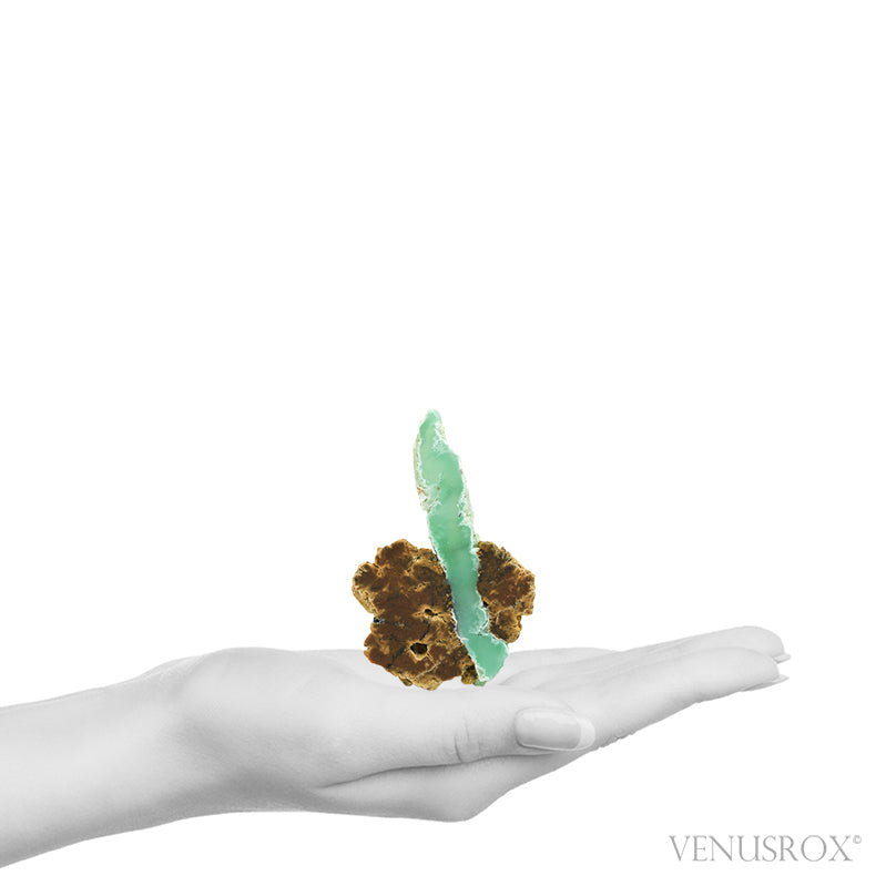 Chrysoprase Polished/Natural Crystal from the Szklary Chrysoprase Mine, Poland | Venusrox