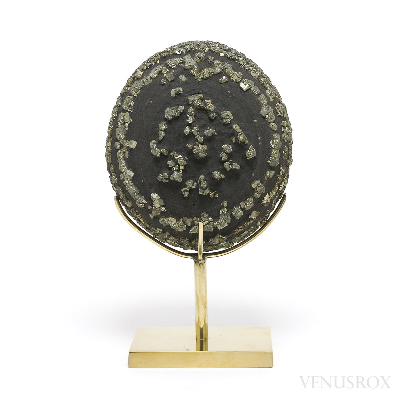 Natural Pyrite Concretion from China Mounted on a bespoke stand | Venusrox