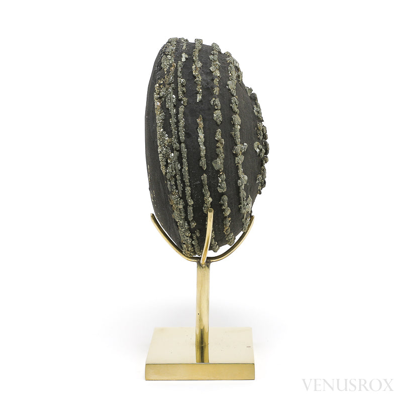 Natural Pyrite Concretion from China Mounted on a bespoke stand | Venusrox