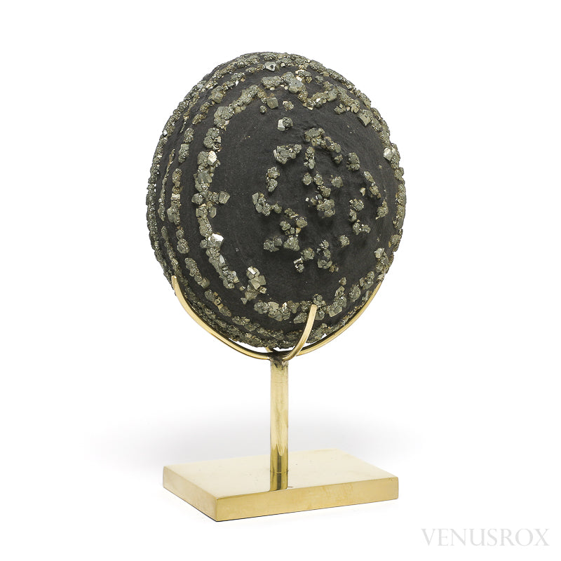 Natural Pyrite Concretion from China Mounted on a bespoke stand | Venusrox