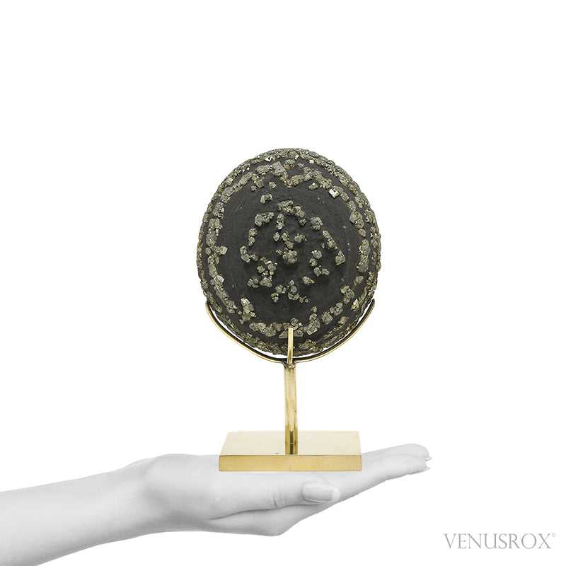 Natural Pyrite Concretion from China Mounted on a bespoke stand | Venusrox