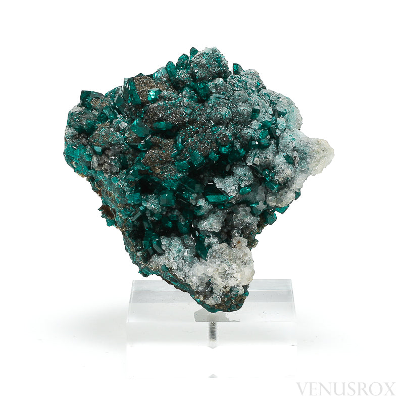 Dioptase with Calcite on Matrix Natural Cluster from Renéville, Kindanba District, Pool Department, Demacratic Republic of the Congo mounted on a bespoke stand | Venusrox