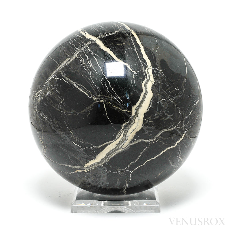 Petrified Wood Sphere from Russia | Venusrox