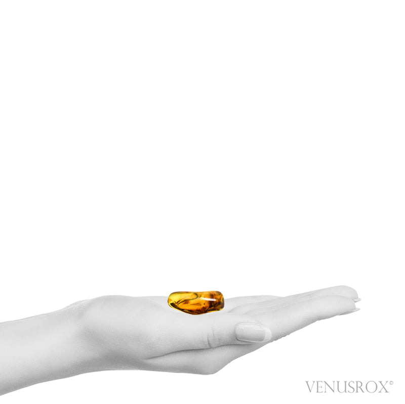 Size Illustration | Natural Baltic Amber Polished Crystal | Venusrox