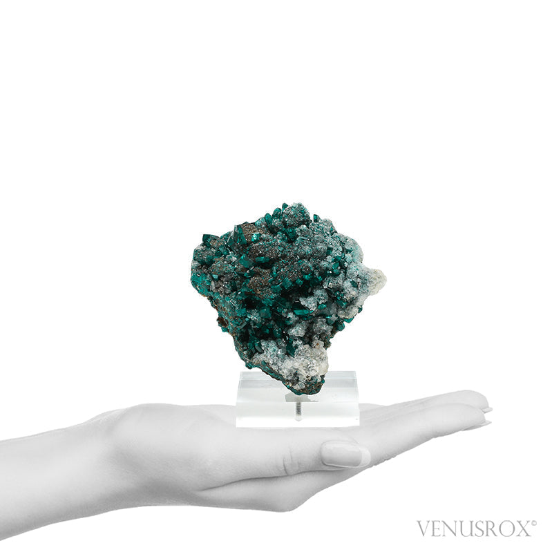 Dioptase with Calcite on Matrix Natural Cluster from Renéville, Kindanba District, Pool Department, Demacratic Republic of the Congo mounted on a bespoke stand | Venusrox