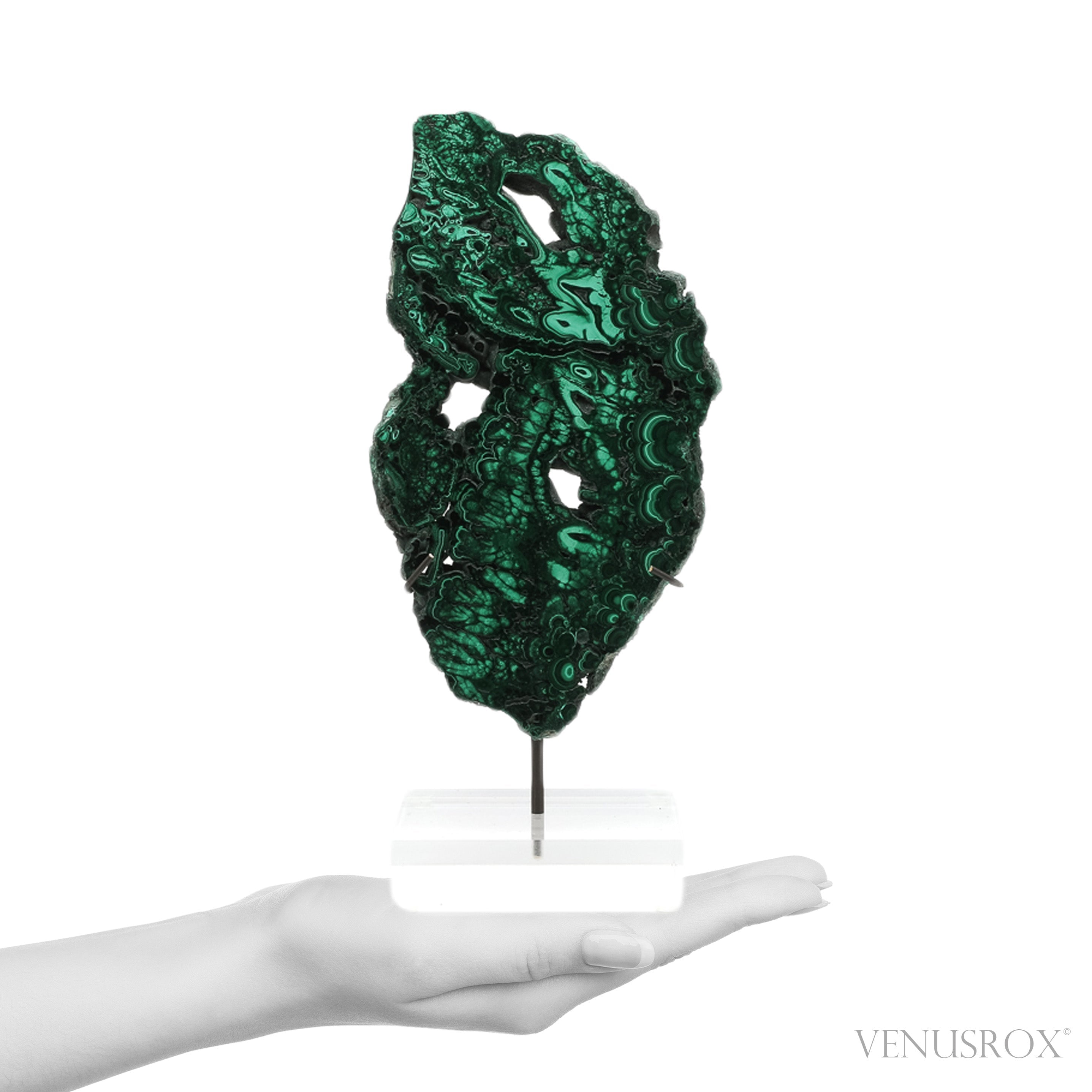 Malachite Slice | Venusrox