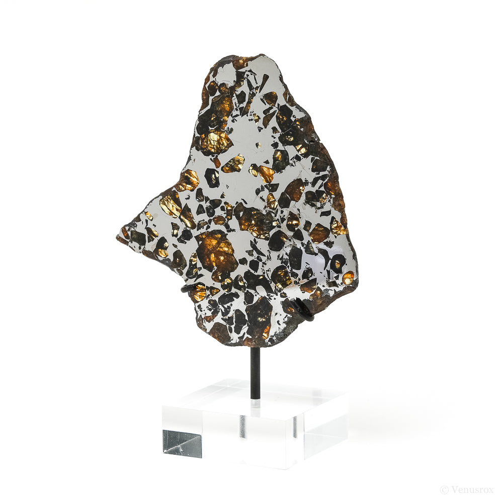 Seymchan Pallasite Meteorite Polished Slice from the Hekandue River, Jasačnaja, Magadan District, Russia mounted on a bespoke stand | Venusrox