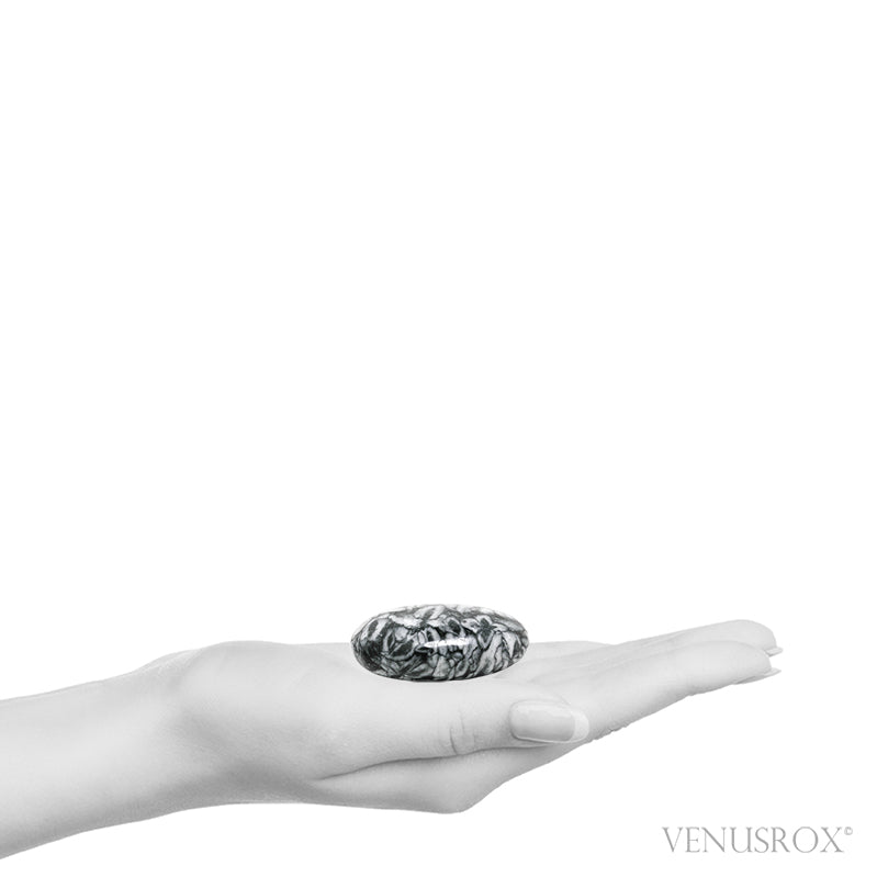 Size Illustration | Pinolith Polished Crystal from Sunk/Triben, Austria | Venusrox