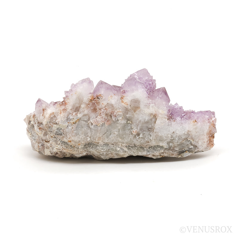 Amethyst Spirit Quartz Natural Cluster from Mpumalanga, South Africa | Venusrox