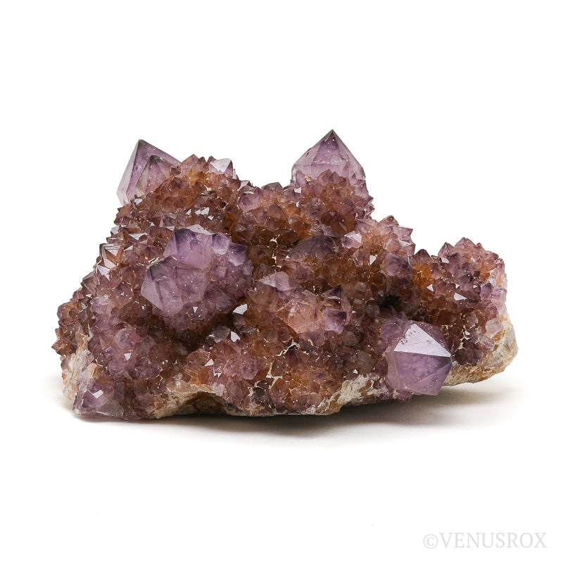 Amethyst Spirit Quartz Natural Cluster from Mpumalanga, South Africa | Venusrox
