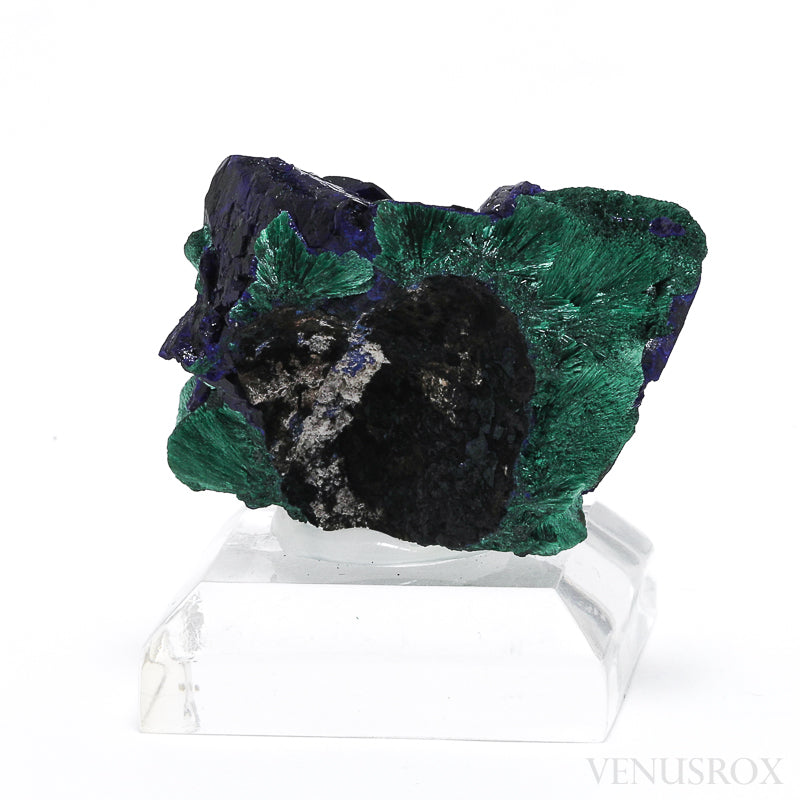 Azurite and Malachite Natural Crystal from the Millpillas Mine, Milpillas, Sonora, Mexico | Venusrox