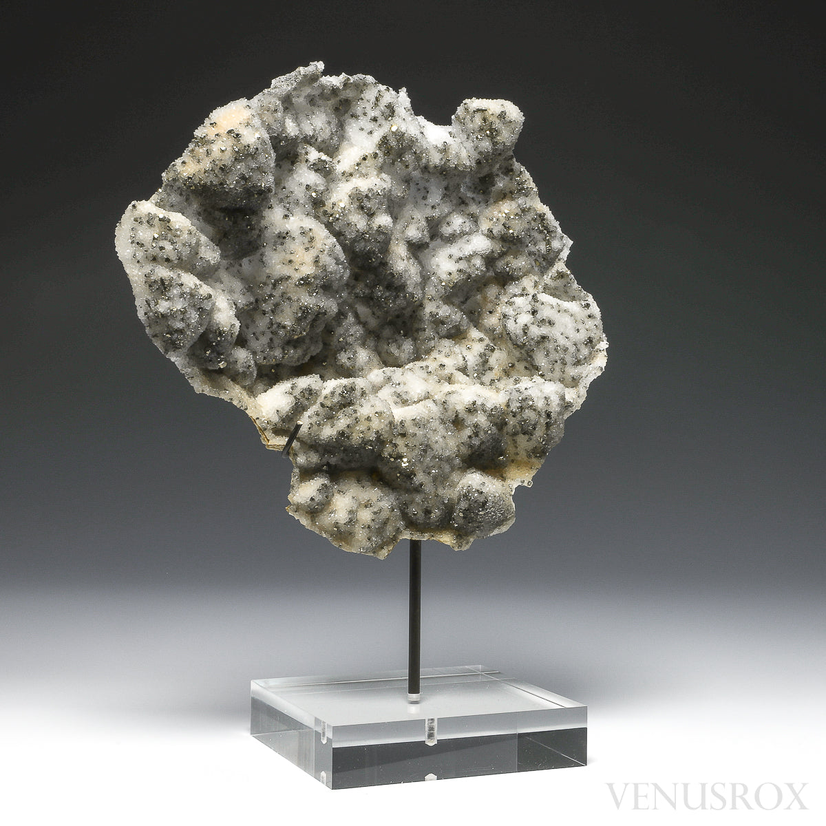 Pyrite on Quartz Natural Cluster from the Cavnic Mine, Cavnic, Maramureș County, Romania, mouted on a bespoke stand | Venusrox