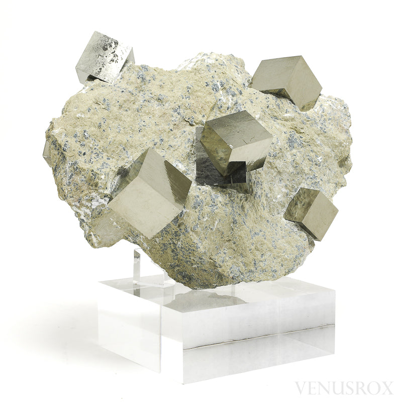 Pyrite Cubes in Matrix from Navajun, La Rioja, Spain mounted on a bespoke stand | Venusrox