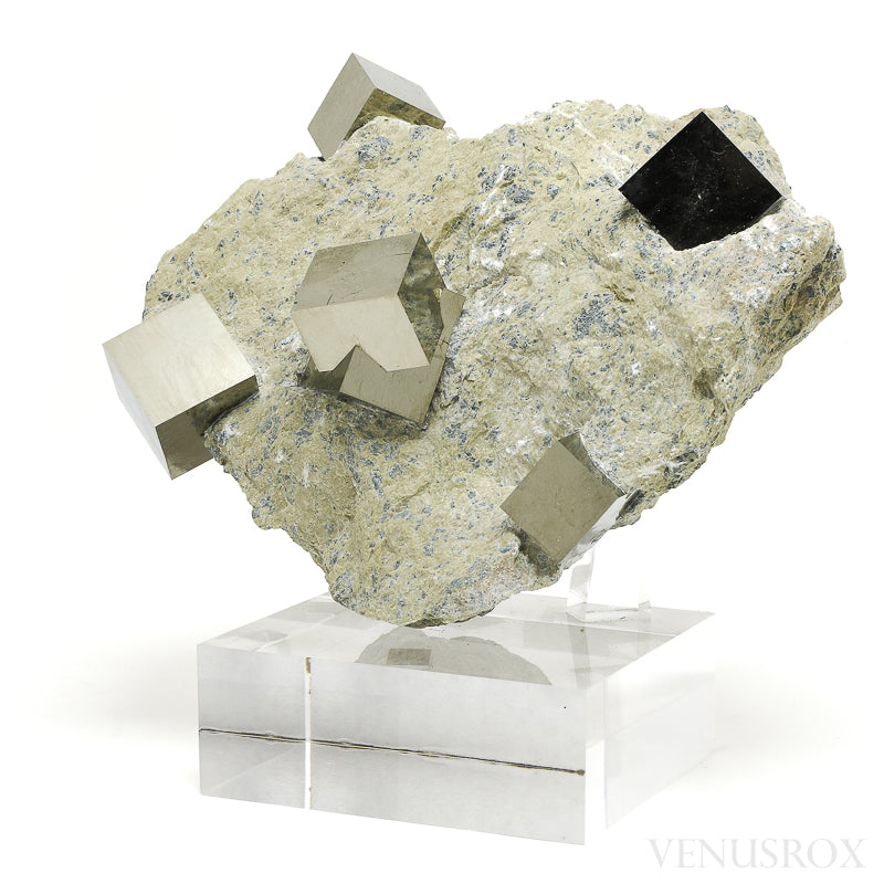 Pyrite Cubes in Matrix from Navajun, La Rioja, Spain mounted on a bespoke stand | Venusrox