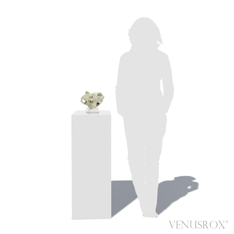 Pyrite Cubes in Matrix from Navajun, La Rioja, Spain mounted on a bespoke stand | Venusrox