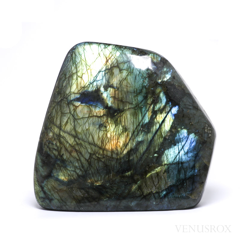 Labradorite Polished Freeform from Madagascar | Venusrox