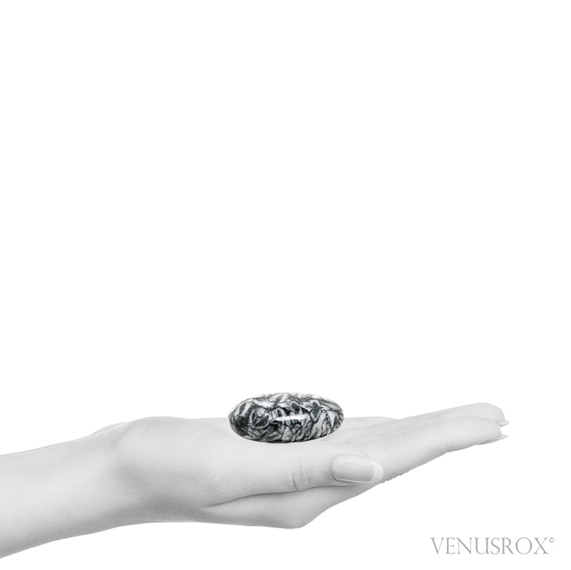 Size Illustration | Pinolith Polished Crystal from Sunk/Triben, Austria | Venusrox