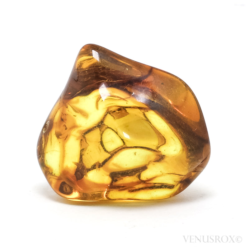 Amber (Natural) | Venusrox