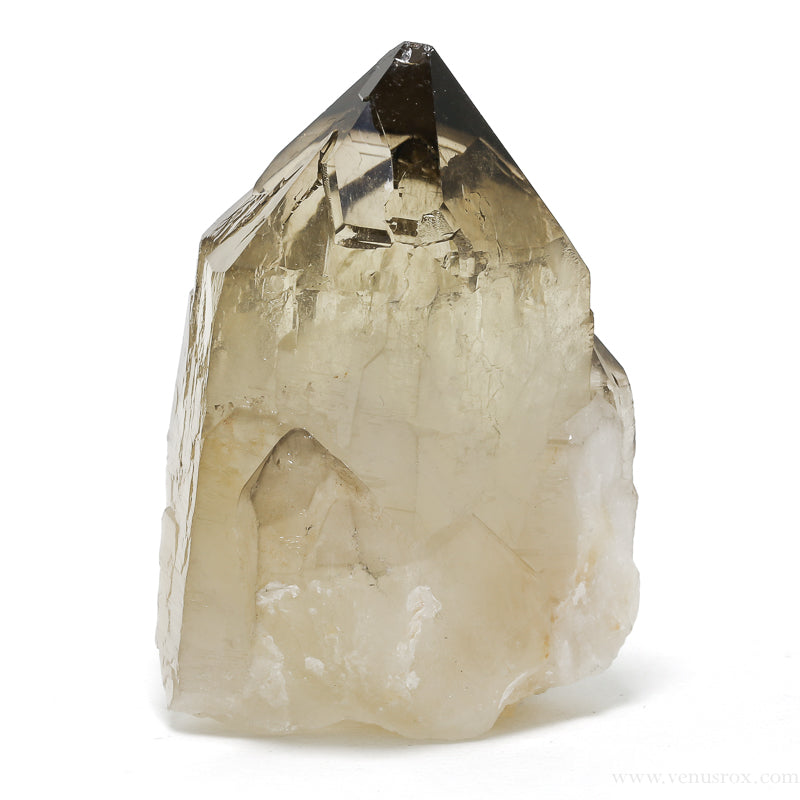 Citrine (Natural) | Venusrox