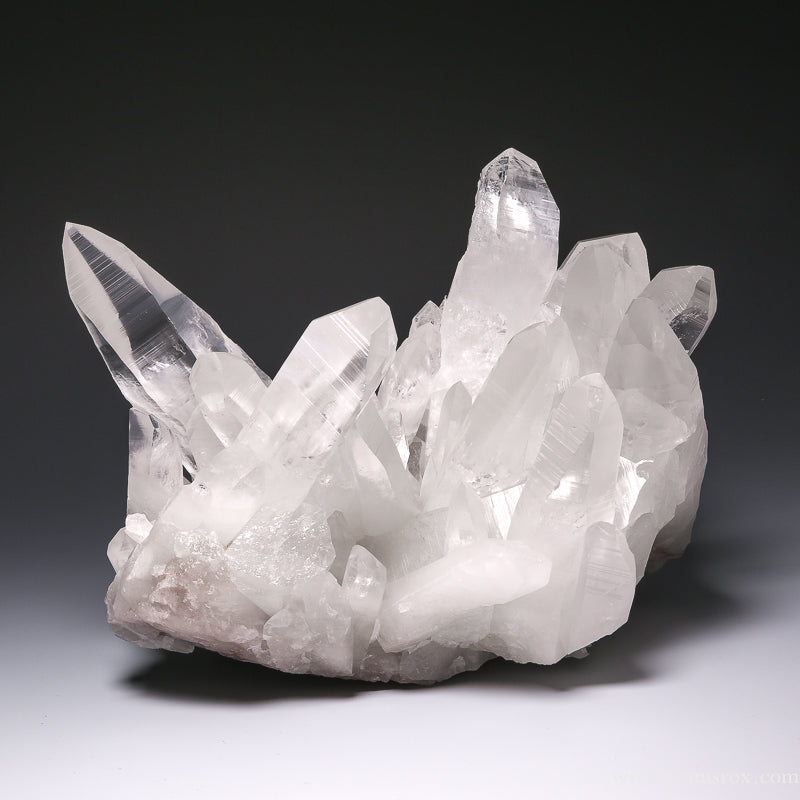 Lemurian Quartz | Venusrox