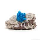 Pentagonite on Matrix Natural Cluster from the Pune District, Maharashtra, India | Venusrox